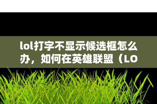 lol打字不显示候选框怎么办，如何在英雄联盟（LOL）中解决打字不显示候选框的问题