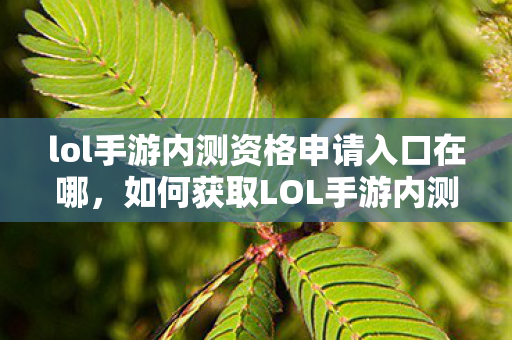 lol手游内测资格申请入口在哪，如何获取LOL手游内测资格，申请入口与技巧