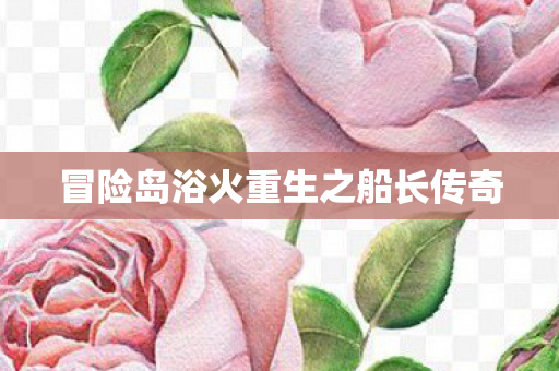 冒险岛浴火重生之船长传奇 冒险岛浴火重生之船长传奇