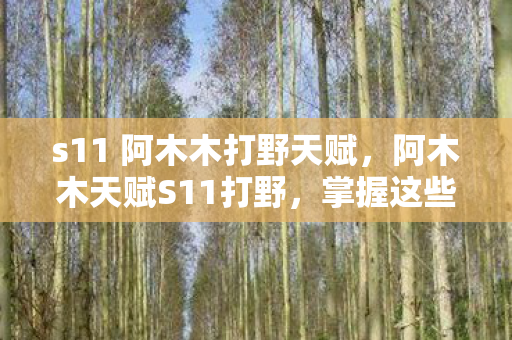 s11 阿木木打野天赋，阿木木天赋S11打野，掌握这些技巧，让你成为野区霸主
