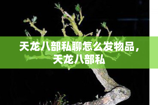 天龙八部私聊怎么发物品，天龙八部私