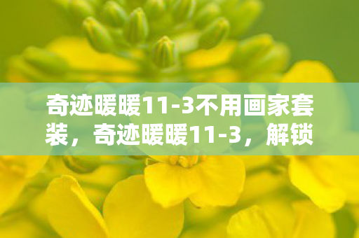 奇迹暖暖11-3不用画家套装，奇迹暖暖11-3，解锁新挑战，展现时尚新高度