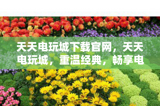 天天电玩城下载官网，天天电玩城，重温经典，畅享电玩乐趣