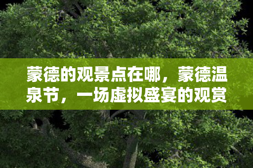 蒙德的观景点在哪，蒙德温泉节，一场虚拟盛宴的观赏指南