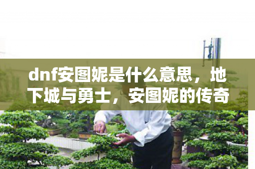 dnf安图妮是什么意思，地下城与勇士，安图妮的传奇冒险