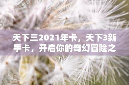 天下三2021年卡，天下3新手卡，开启你的奇幻冒险之旅