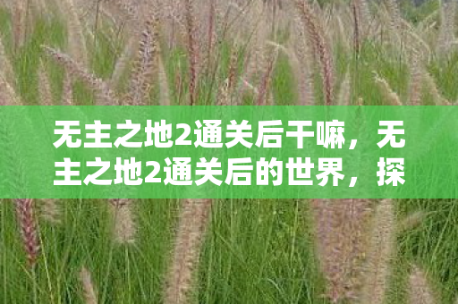 无主之地2通关后干嘛，无主之地2通关后的世界，探索、挑战与回忆