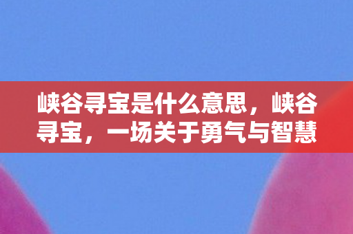 峡谷寻宝是什么意思，峡谷寻宝，一场关于勇气与智慧的探险之旅