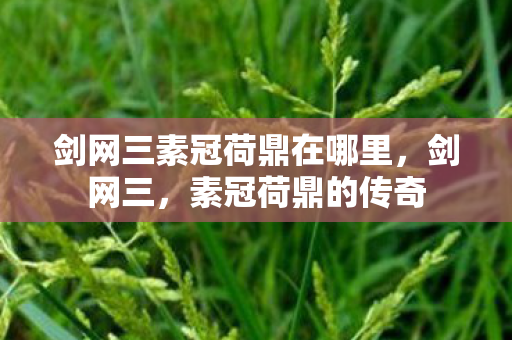 剑网三素冠荷鼎在哪里，剑网三，素冠荷鼎的传奇