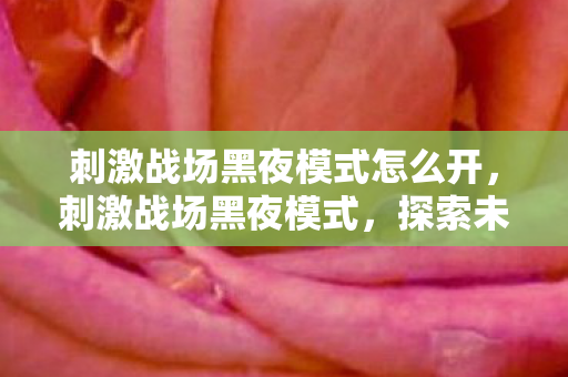 刺激战场黑夜模式怎么开，刺激战场黑夜模式，探索未知，挑战极限