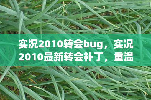 实况2010转会bug，实况2010最新转会补丁，重温经典，再续足球梦