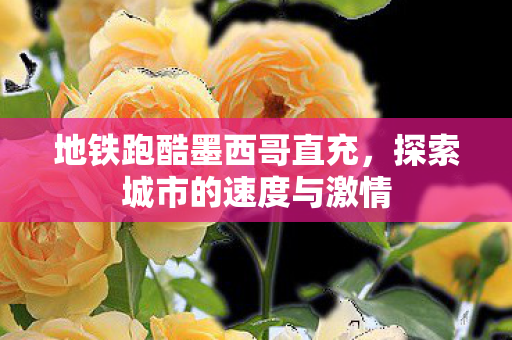 地铁跑酷墨西哥直充,探索城市的速度与激情 地铁跑酷墨西哥直充,探索城市的速度与激情