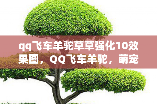 qq飞车羊驼草草强化10效果图，QQ飞车羊驼，萌宠新宠，竞速路上的欢乐伙伴