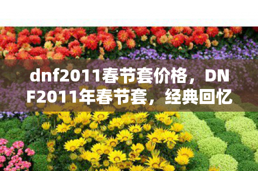 dnf2011春节套价格，DNF2011年春节套，经典回忆与独特魅力