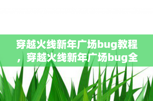 穿越火线新年广场bug教程，穿越火线新年广场bug全解析，从发现到解决