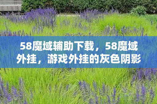 58魔域辅助下载，58魔域外挂，游戏外挂的灰色阴影
