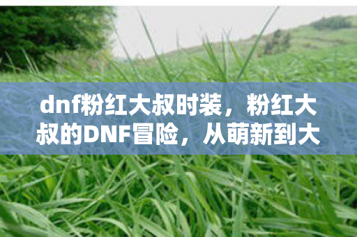 dnf粉红大叔时装，粉红大叔的DNF冒险，从萌新到大佬的传奇之旅