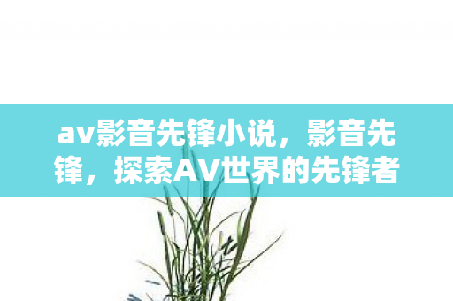 av影音先锋小说，影音先锋，探索AV世界的先锋者