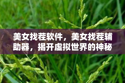 美女找茬软件，美女找茬辅助器，揭开虚拟世界的神秘面纱