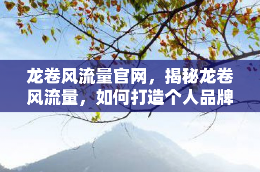 龙卷风流量官网，揭秘龙卷风流量，如何打造个人品牌的流量神话