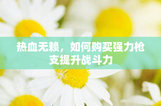 热血无赖，如何购买强力枪支提升战斗力