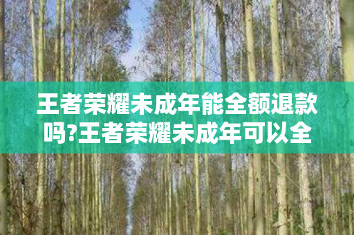 王者荣耀未成年能全额退款吗?王者荣耀未成年可以全额退款吗？