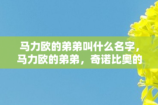 马力欧的弟弟叫什么名字,马力欧的弟弟,奇诺比奥的奇妙冒险 马力欧的弟弟叫什么名字,马力欧的弟弟,奇诺比奥的奇妙冒险