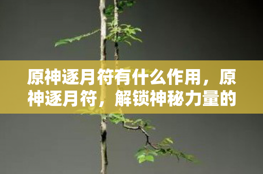 原神逐月符有什么作用，原神逐月符，解锁神秘力量的关键道具
