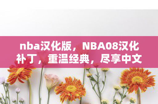 nba汉化版,NBA08汉化补丁,重温经典,尽享中文篮球盛宴 nba汉化版,NBA08汉化补丁,重温经典,尽享中文篮球盛宴