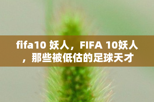 fifa10 妖人，FIFA 10妖人，那些被低估的足球天才
