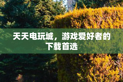 天天电玩城，游戏爱好者的下载首选