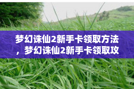 梦幻诛仙2新手卡领取方法，梦幻诛仙2新手卡领取攻略