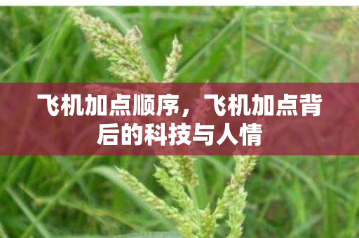 飞机加点顺序，飞机加点背后的科技与人情