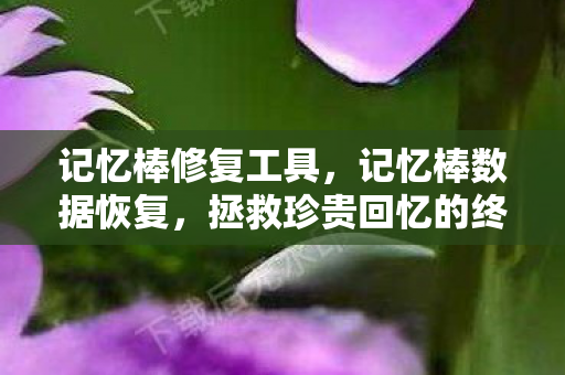 记忆棒修复工具，记忆棒数据恢复，拯救珍贵回忆的终极指南
