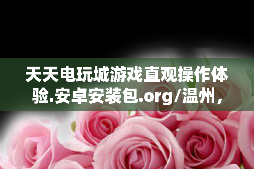 天天电玩城游戏直观操作体验.安卓安装包.org/温州，天天电玩城，重温经典，畅享电玩乐趣