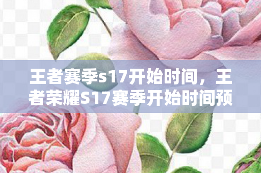 王者赛季s17开始时间，王者荣耀S17赛季开始时间预测与分析