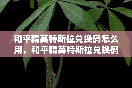 和平精英特斯拉兑换码怎么用，和平精英特斯拉兑换码，解锁未来科技的钥匙
