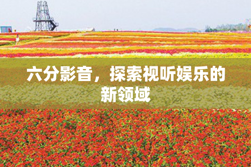 六分影音，探索视听娱乐的新领域