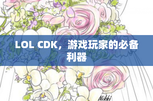 LOL CDK，游戏玩家的必备利器