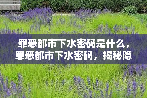 罪恶都市下水密码是什么，罪恶都市下水密码，揭秘隐藏在水下世界的神秘宝藏