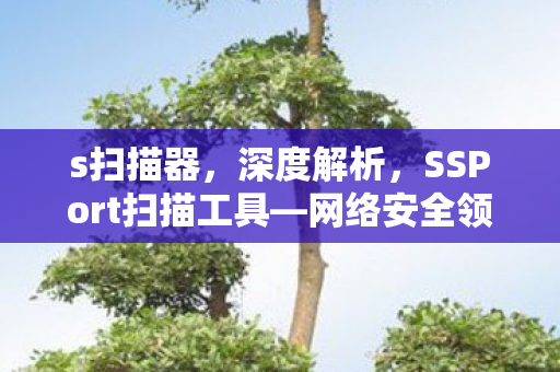 s扫描器，深度解析，SSPort扫描工具—网络安全领域的得力助手