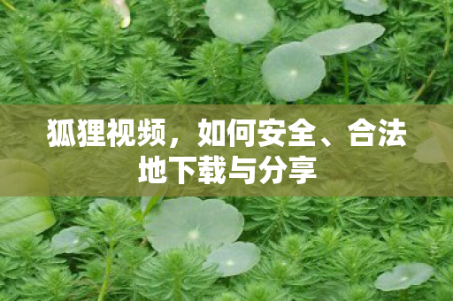 狐狸视频，如何安全、合法地下载与分享