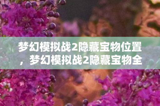 梦幻模拟战2隐藏宝物位置，梦幻模拟战2隐藏宝物全揭秘
