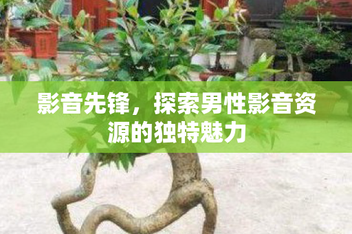 影音先锋，探索男性影音资源的独特魅力