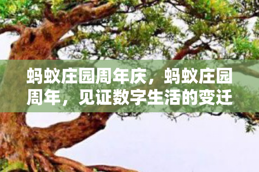 蚂蚁庄园周年庆，蚂蚁庄园周年，见证数字生活的变迁与成长