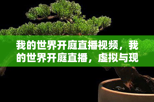 我的世界开庭直播视频，我的世界开庭直播，虚拟与现实的法律边界