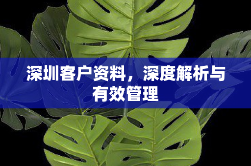 深圳客户资料，深度解析与有效管理