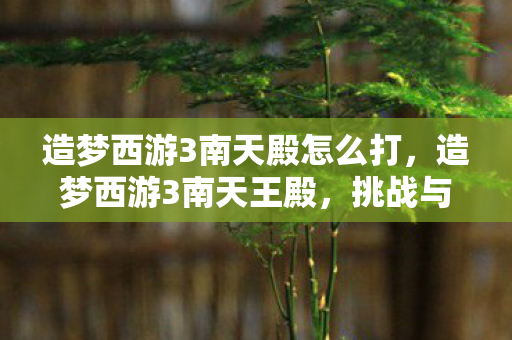造梦西游3南天殿怎么打,造梦西游3南天王殿,挑战与冒险的奇幻之旅 造梦西游3南天殿怎么打,造梦西游3南天王殿,挑战与冒险的奇幻之旅