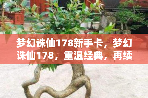 梦幻诛仙178新手卡，梦幻诛仙178，重温经典，再续前缘