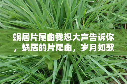 蜗居片尾曲我想大声告诉你，蜗居的片尾曲，岁月如歌，人生如梦